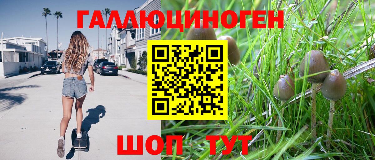 Карачаевск  продажа наркотиков  Вход с VPN  Галлюциногенные грибы ЛСД 