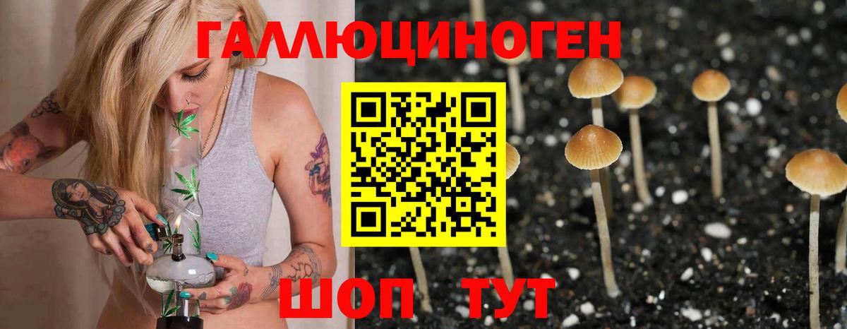 Галлюциногенные грибы MAGIC MUSHROOMS Карачаевск